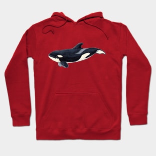 Baby orca Hoodie